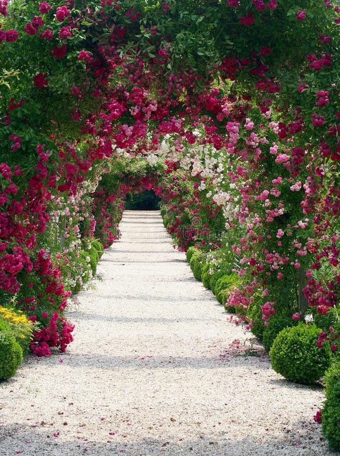 Rose Garden Landscape Royalty Free Stock Images - Image: 965709