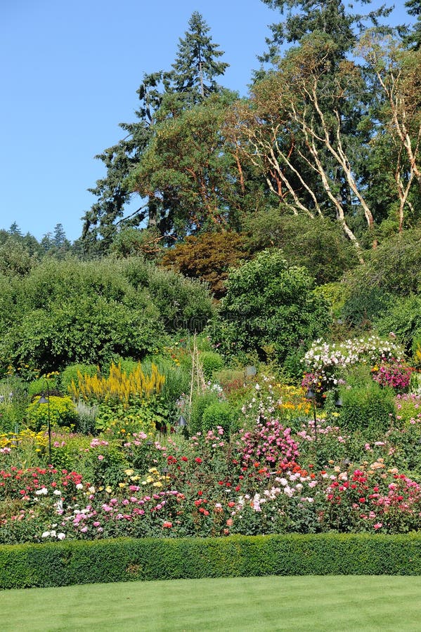 Rose Garden Arches and Path Stock Photo - Image of canada, colorful ...