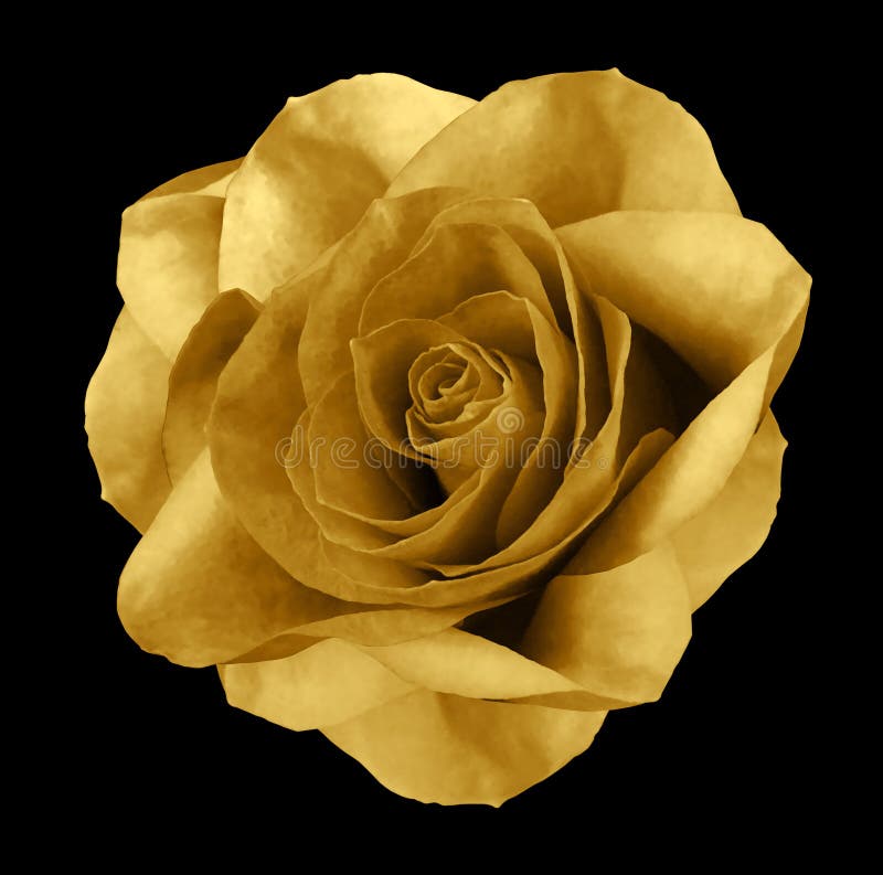 243,698 Gold Flower Stock Photos - Free & Royalty-Free Stock Photos from  Dreamstime