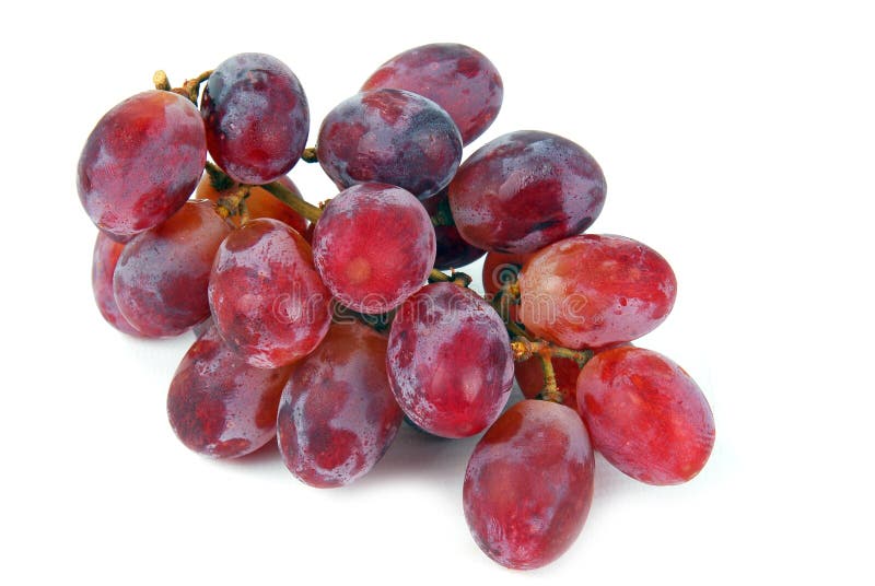 Rosé Grapes on a Grapevine Ready for Harvesting Stock Image Image of