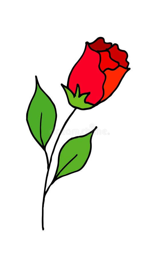 Rose is a Hand Drawing Doodle Cartoon. a Blossoming Rosebud Stock  Illustration - Illustration of abstract, beautiful: 108507293