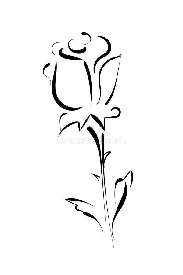 Rose Flower Black Outline on a White Background. Stock Vector ...