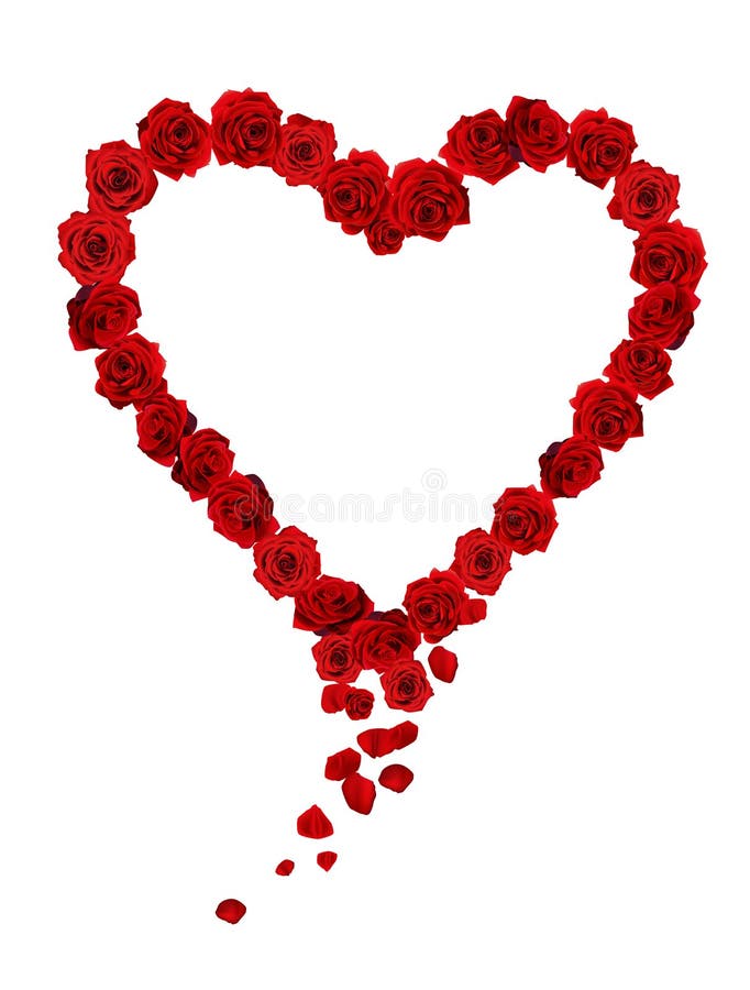 Red Rose with Heart and Blood Drops. Stock Vector - Illustration of ...