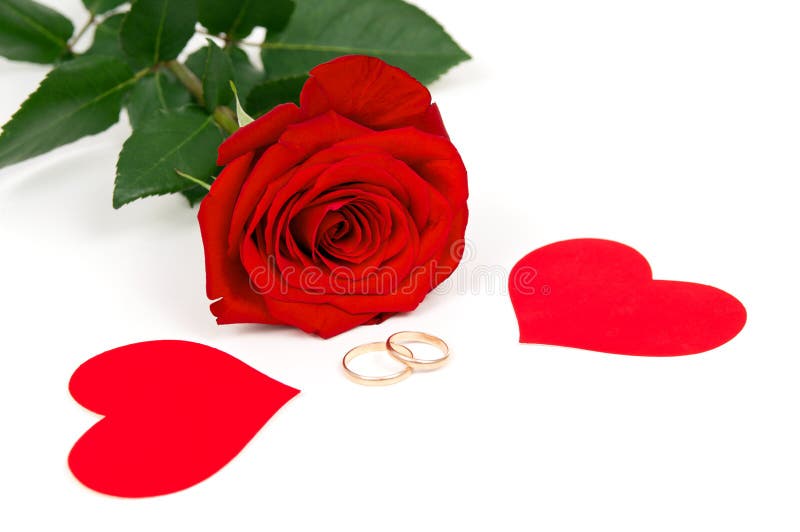 Rose with hearts and wedding rings