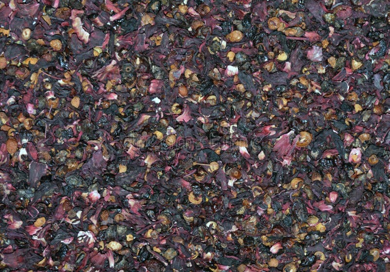 Rose Hip Tea Texture secada foto de archivo Rose Hip Tea Texture secada foto de archivo
