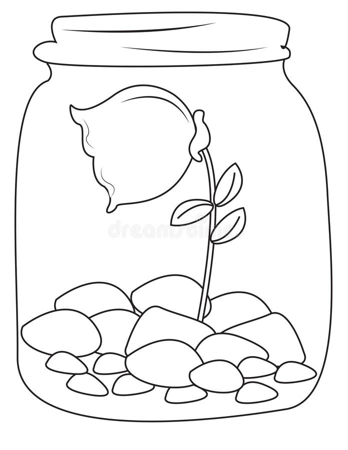 Rose Inside A Jar Coloring Page Stock Illustration Illustration of