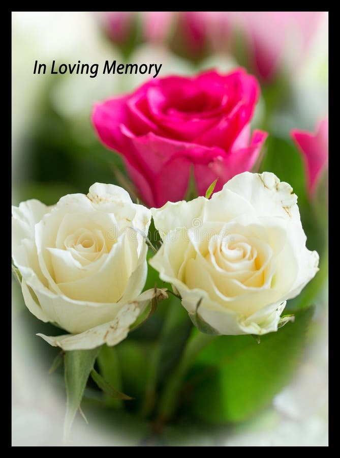 1 1 Loving Memory Photos Free Royalty Free Stock Photos From Dreamstime