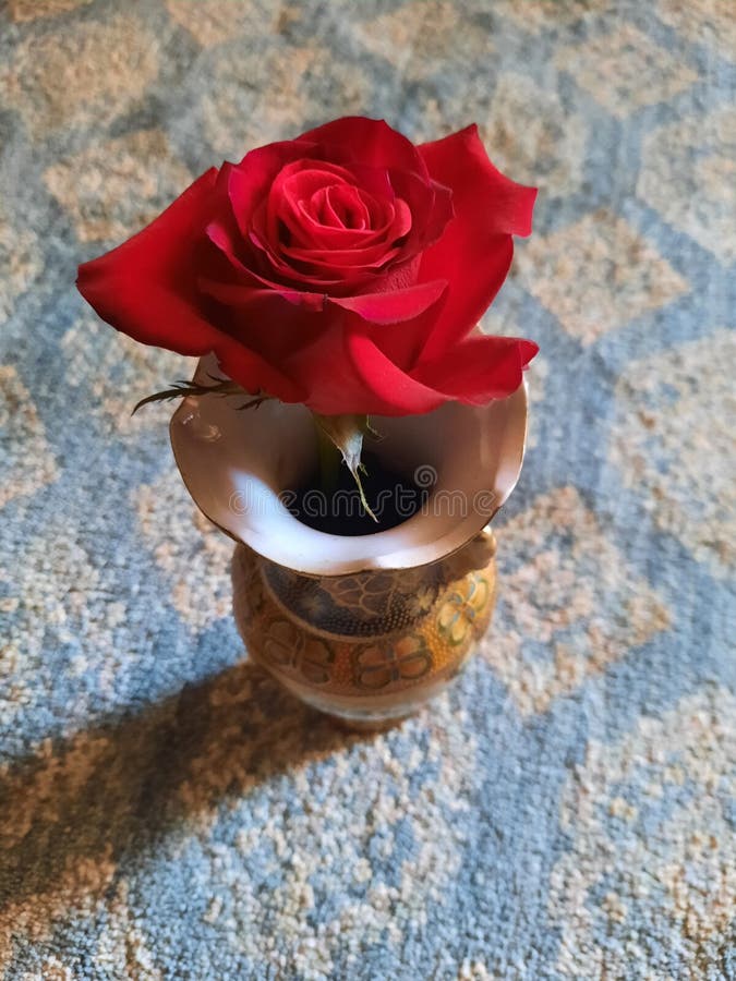 Rose of modern time stock image. Image of rose, unique 241872191