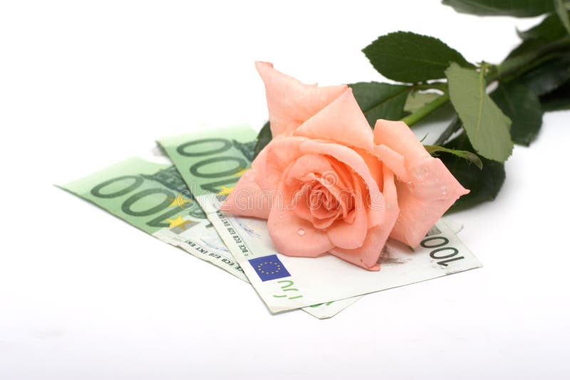 Rose and money