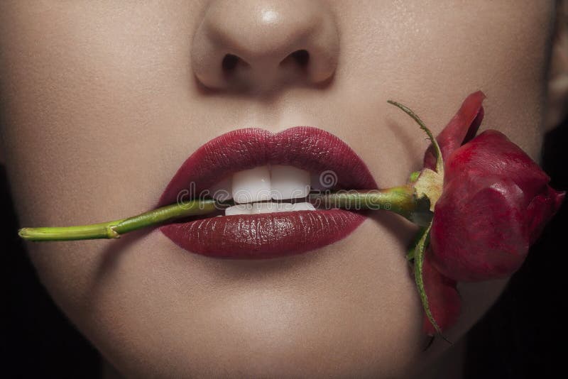 Bitting A Rose In Red Lips On Black Bakcground Stock Image Image Of