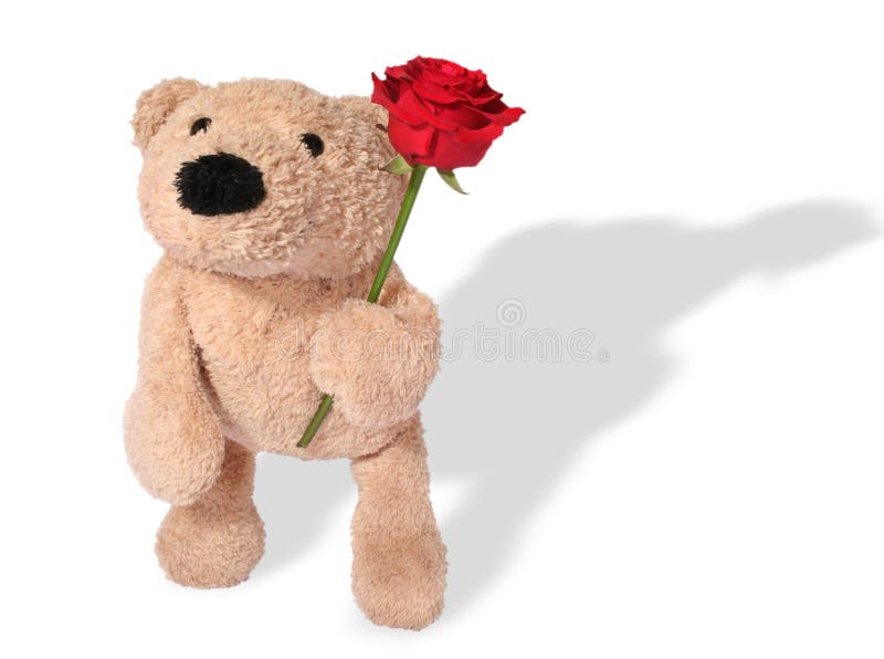 rose niedźwiedź fotografia stock rose niedźwiedź fotografia stock