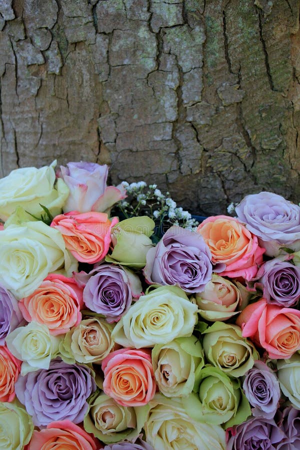 Mixed floral wedding decoration: roses in various pastel colors. Mixed floral wedding decoration: roses in various pastel colors