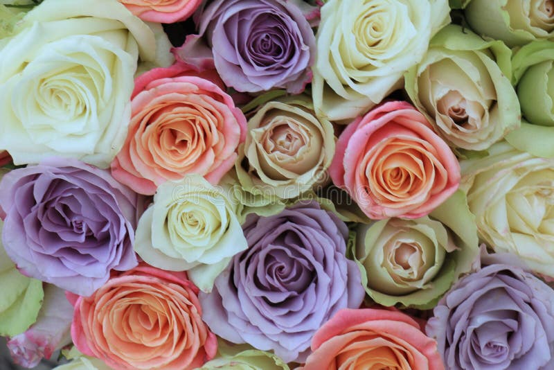 Mixed floral wedding decoration: roses in various pastel colors. Mixed floral wedding decoration: roses in various pastel colors
