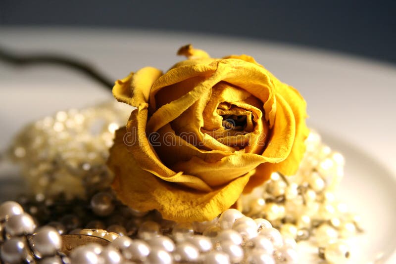 Rose on pearls