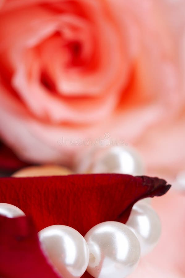 Rose and pearls stock image. Image of beautiful, wedding 7359827