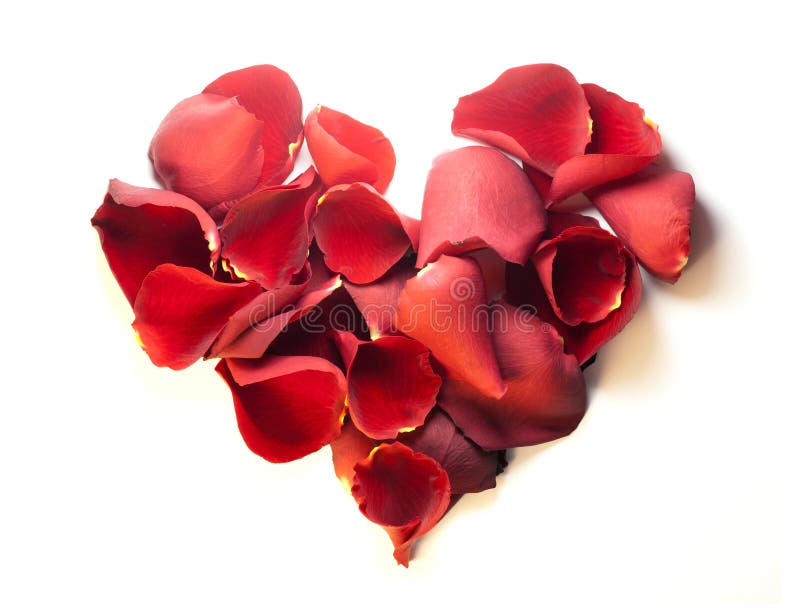 Rose petal love heart stock photo. Image of sweetheart - 16901146