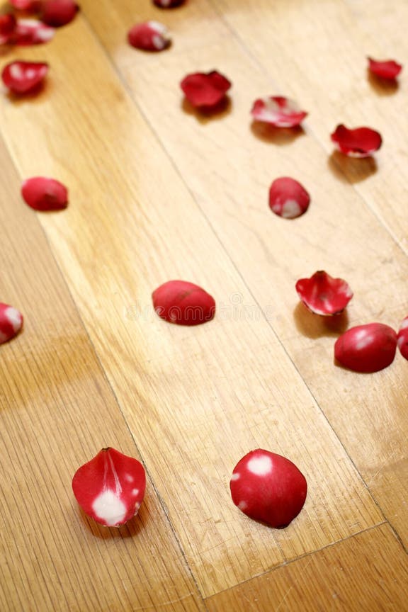 478 Rose Petals Wood Floor Stock Photos Free & RoyaltyFree Stock