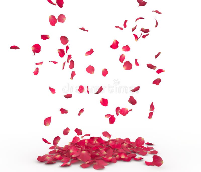 Realistic Rose Petals Floor Stock Illustrations 270 Realistic Rose
