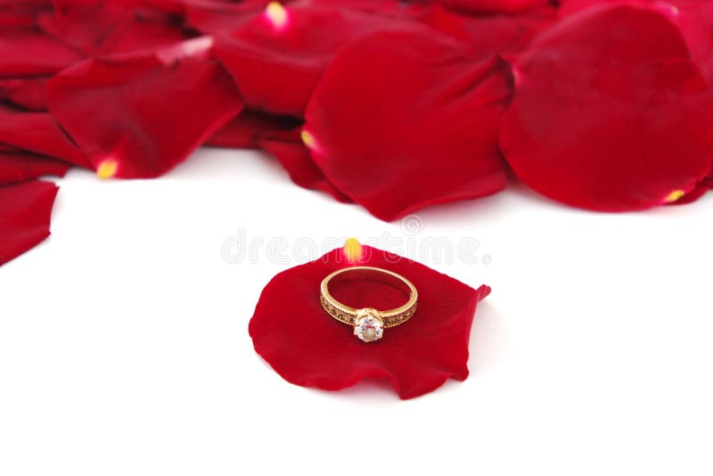 Rose petals and golden rings