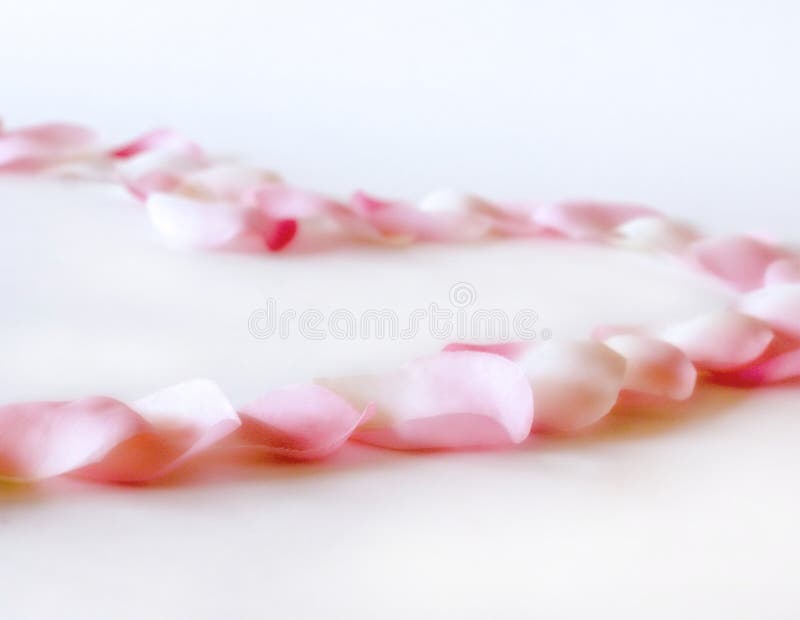 Rose Petals Heart