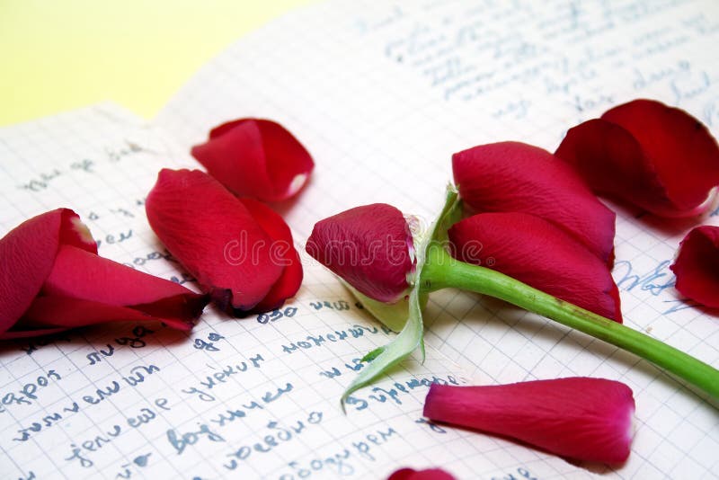 Rose petals on the old script