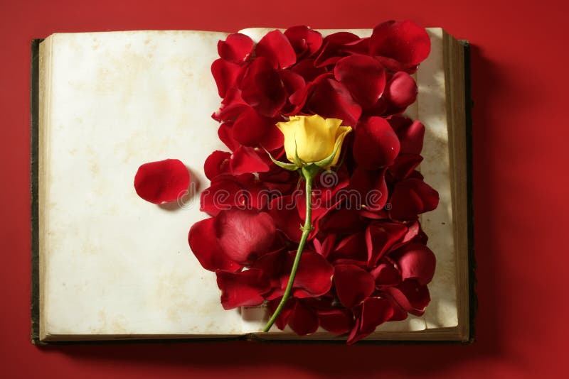 108,796 Roses Petals Stock Photos - Free & Royalty-Free Stock Photos from  Dreamstime