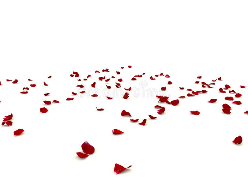 Red Roses Petals And Pearls Scattered On A White Surface Stock