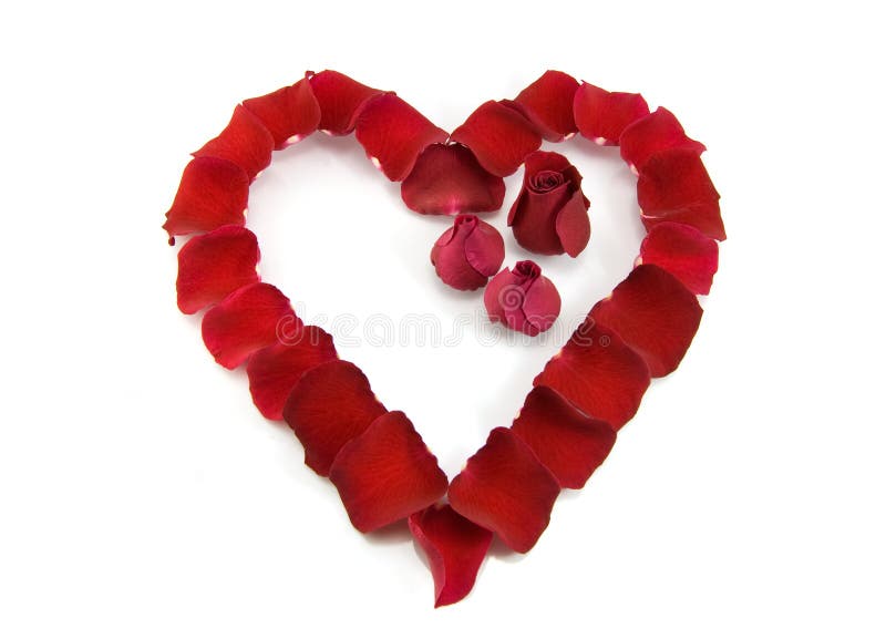 Rose petals in a shape of a heart