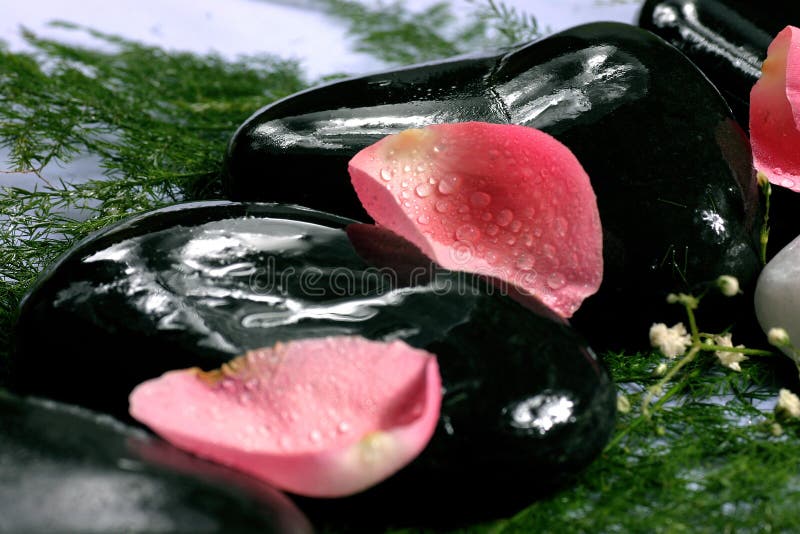 Rose petals and spa