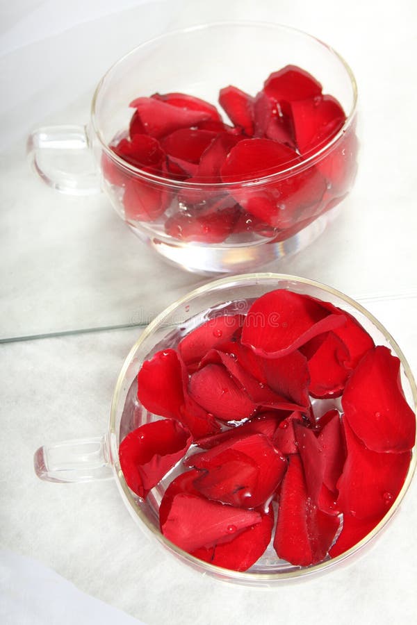 Rose petals in the water stock image. Image of rose, glass 13101037