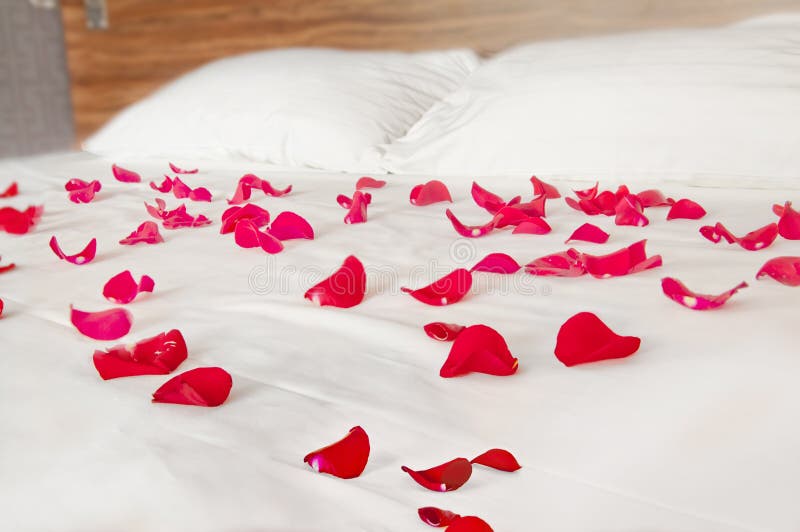 Rose petals on white bedding - romantic bedroom scenery