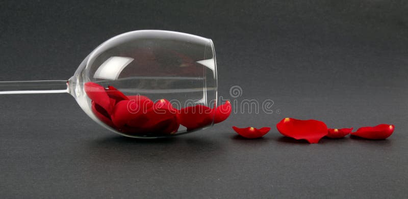 Rose petals in a wine glass with black background, love concept