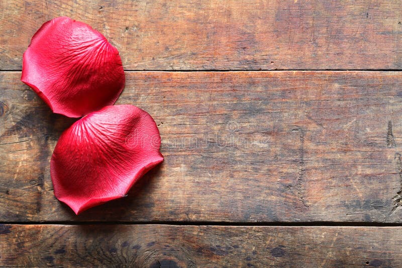 Rose Petals On Wood