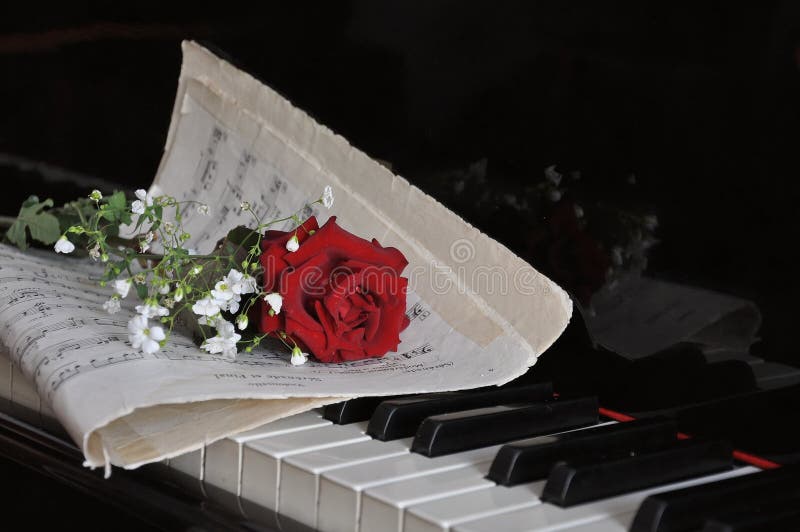 Sheet Music With Rose Piano Stock Image Image of background, abstract
