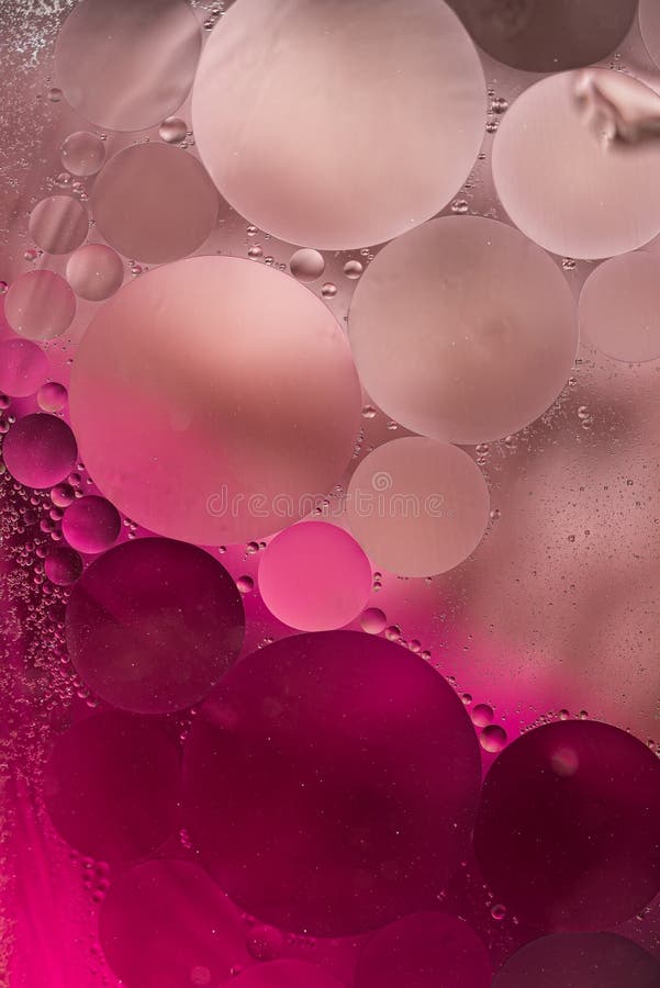 57,376 Pink Gradient Background Stock Photos - Free & Royalty-Free Stock  Photos from Dreamstime