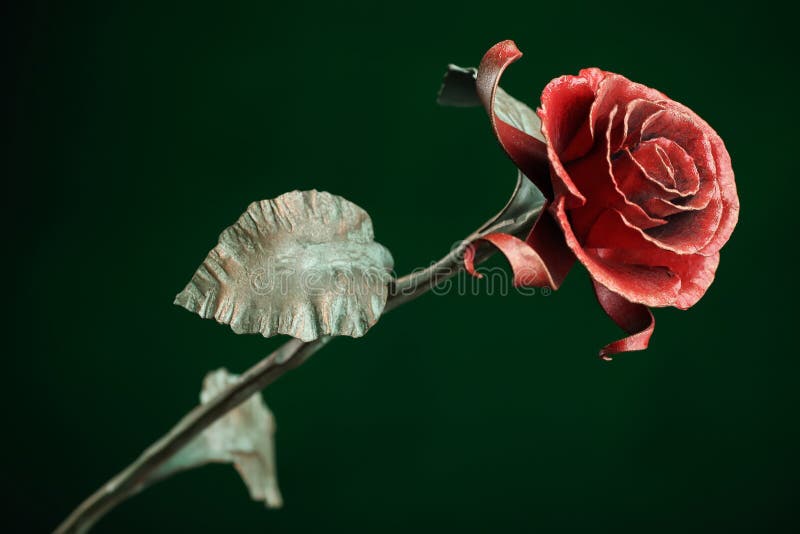 Rose with a red bloom and a green stalk