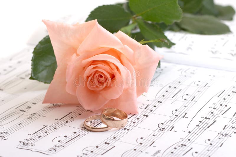 Rose, rings and notes