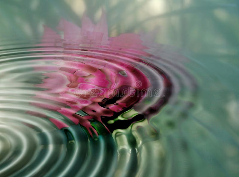 Rose ripples