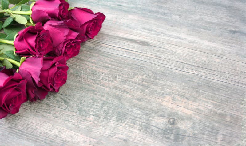 Rose rosa sopra fondo di legno rustico illustrazione di stock