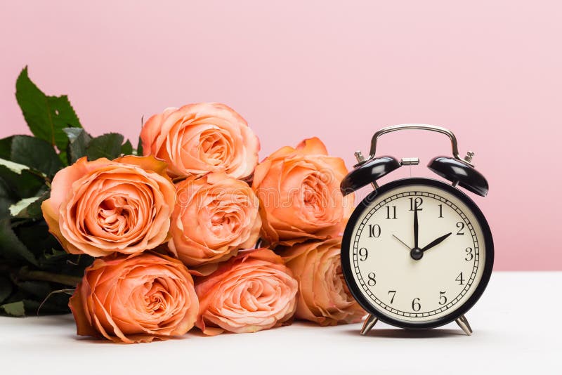 Rose Roses and Clock on Pink Background, Daylight Saving Stock Image