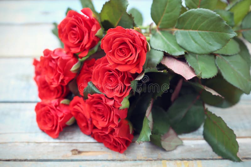 Rose rosse fotografia stock Rose rosse fotografia stock