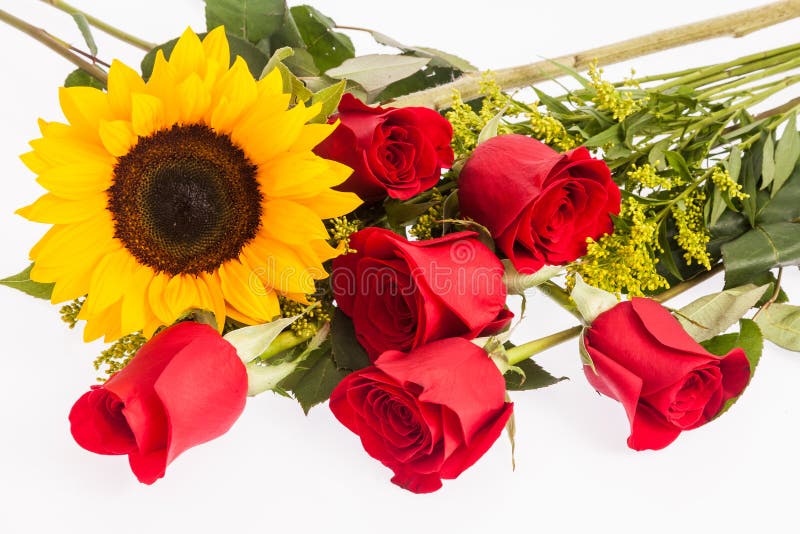 Rose rosse e un girasole immagine stock. Immagine di mazzo 97969585