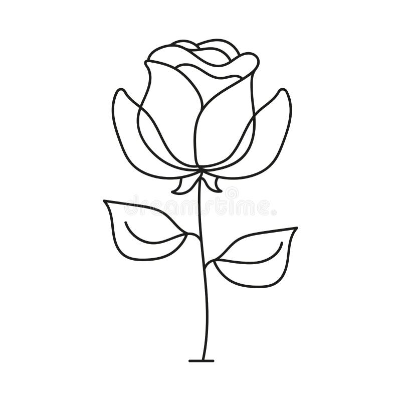 Rose Sketch. Black Outline on White Background Stock Vector Illustration of isolated, detailed