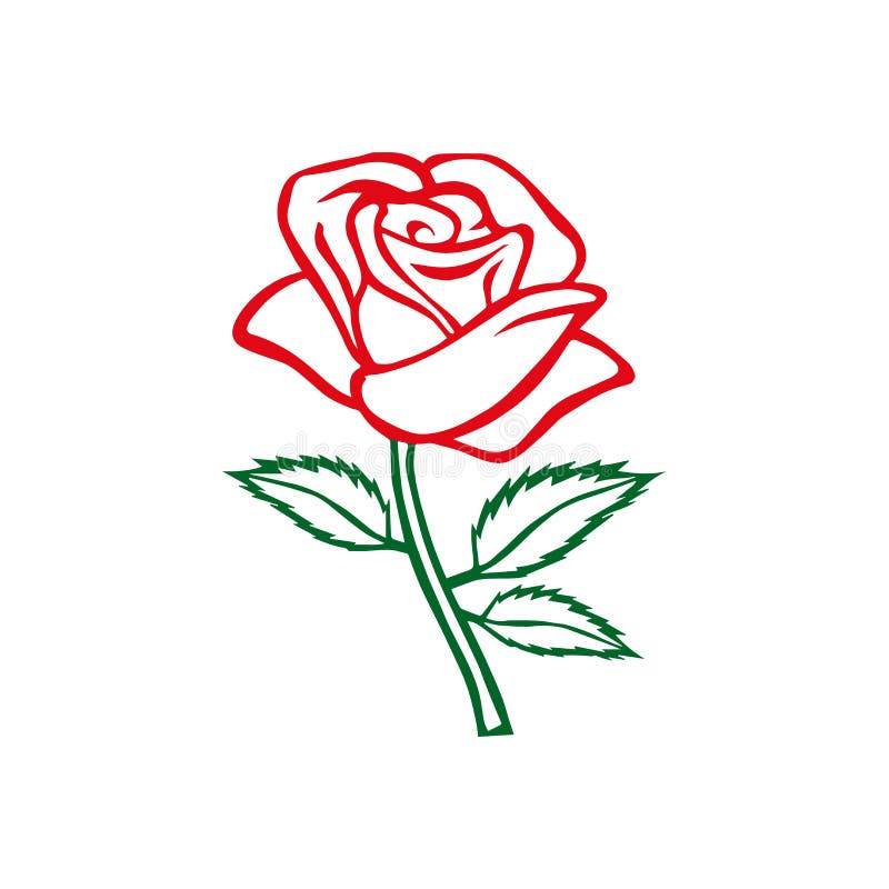 Rose Sketch. Rose Motif. Flower Design Elements. Vector Illustration