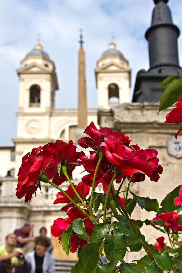 Rose at the Spanish steps in Rome
