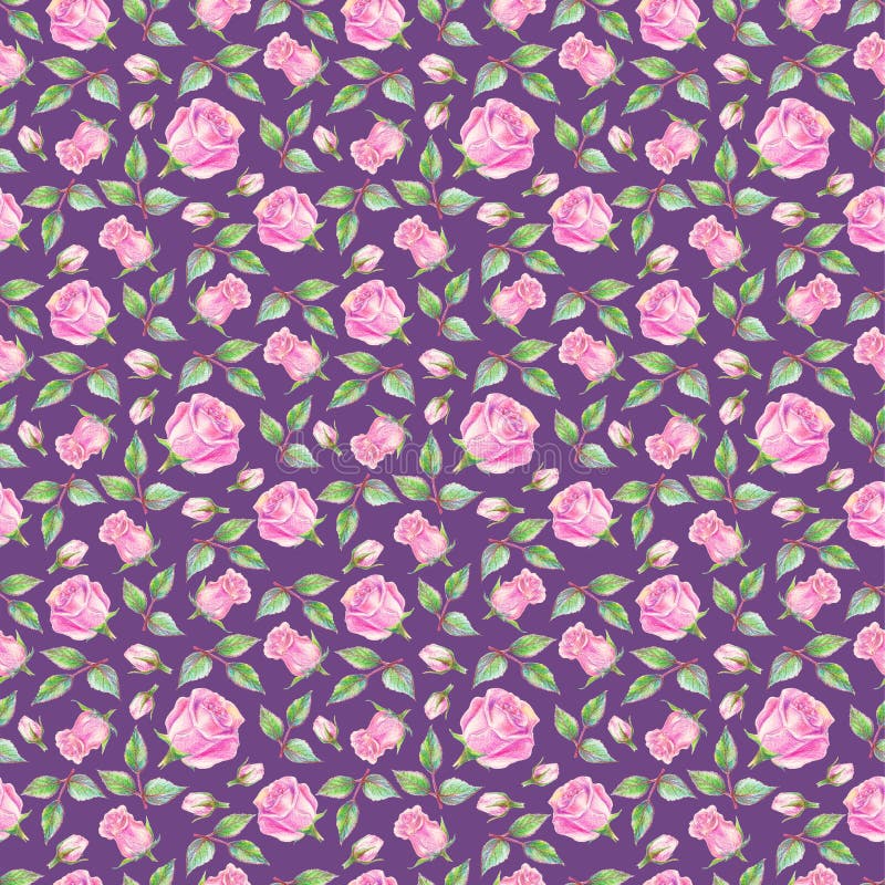 Rose su fondo viola Reticolo senza giunte floreale Illustrazione di matita illustrazione vettoriale Rose su fondo viola Reticolo senza giunte floreale Illustrazione di matita illustrazione vettoriale