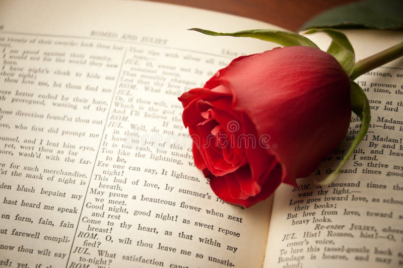 Rose sur Shakespeare photo stock Rose sur Shakespeare photo stock