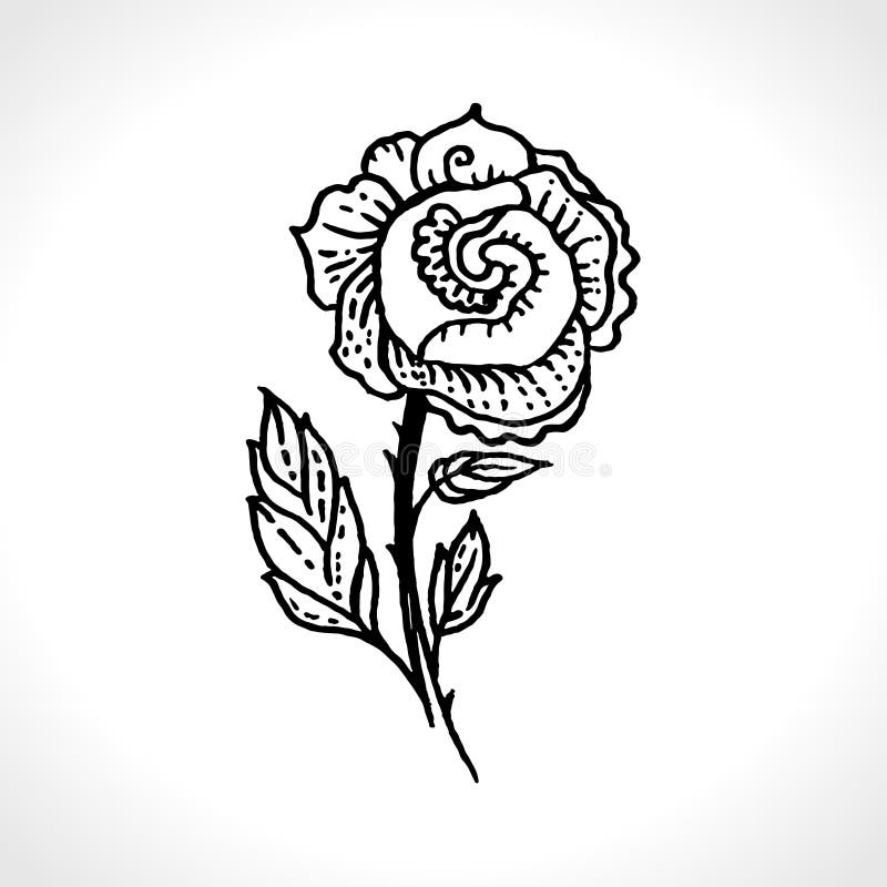 Rose Tattoos PNG Transparent Background Free Download 19394  FreeIconsPNG