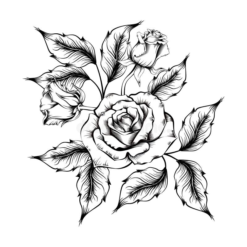 Rose Tattoo Silhouette Roses Leaves On Stock Vector Royalty Free  551012359  Shutterstock