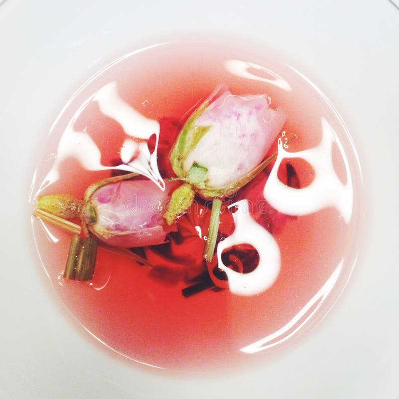 Rose tea stock photo. Image of white, floral, pink, teatime 48247662